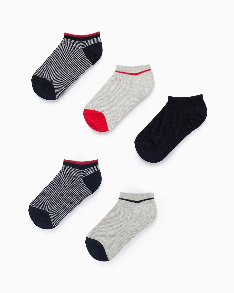 Упаковка из 5 пар носков до щиколотки для мальчиков Zippy, многоцветный
Упаковка из 5 пар носков до щиколотки для мальчиков Zippy, многоцветный