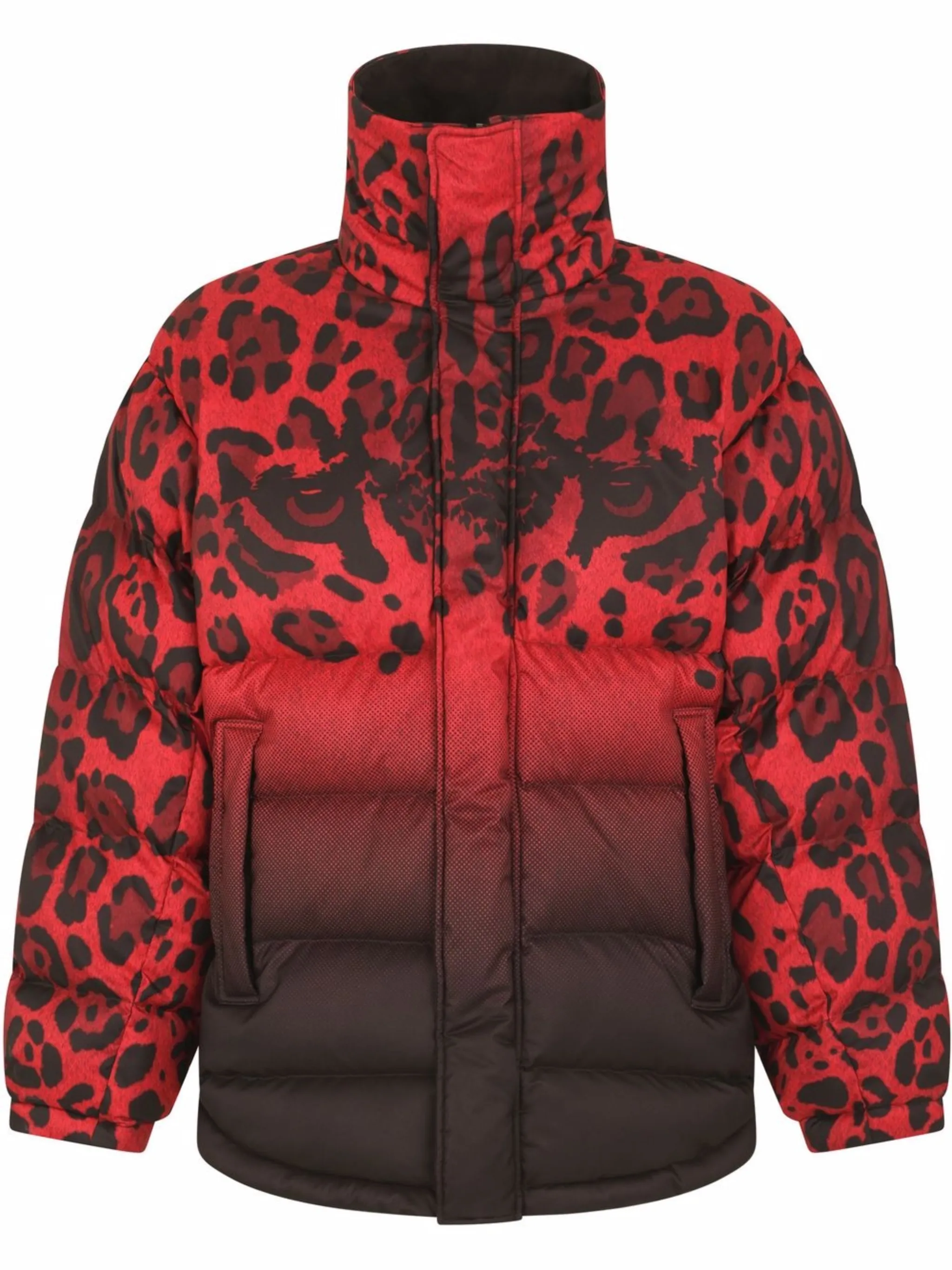 Двусторонний пуховик с принтом Dolce & Gabbana, черный
Двусторонний пуховик с принтом Dolce & Gabbana, черный