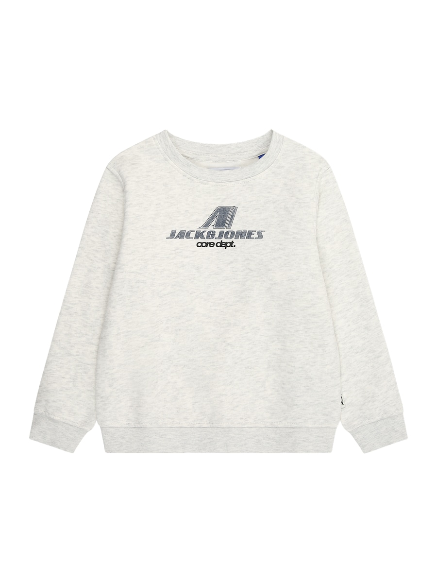 Толстовка Jack & Jones Junior JCOTIER, Mottled White
Толстовка Jack & Jones Junior JCOTIER, Mottled White