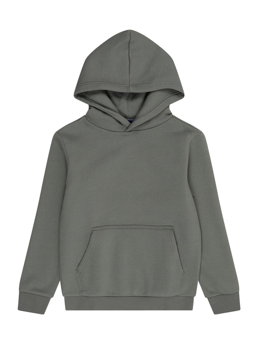 Толстовка Only & Sons Junior OSJCERES, оливковый
Толстовка Only & Sons Junior OSJCERES, оливковый