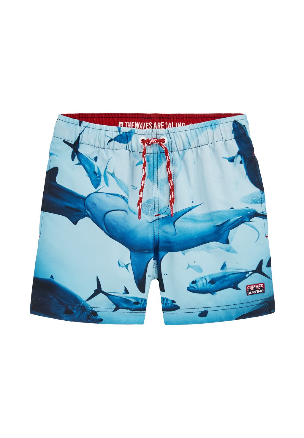 Пляжные шорты WE Fashion, цвет Ice Blue
Пляжные шорты WE Fashion, цвет Ice Blue