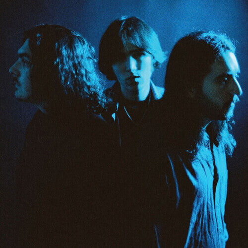 Виниловая пластинка Catatonic Suns: CATATONIC SUNS
Виниловая пластинка Catatonic Suns: CATATONIC SUNS