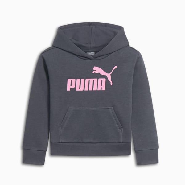 Детская флисовая толстовка с капюшоном Core No. 1 Logo Puma, серый
Детская флисовая толстовка с капюшоном Core No. 1 Logo Puma, серый