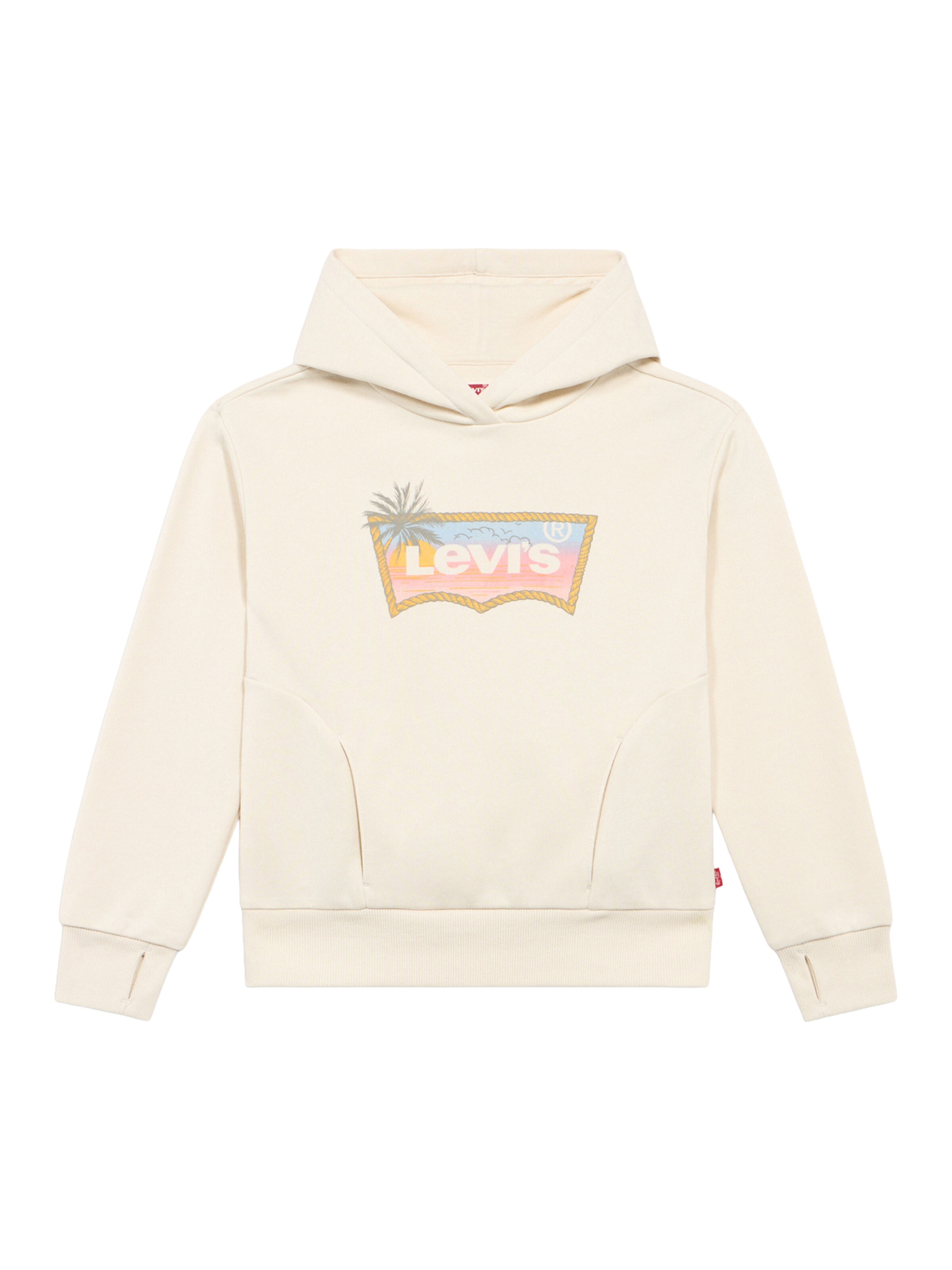 Levi's Kids Толстовка 'BATWING' в цвете Off White
Levi's Kids Толстовка 'BATWING' в цвете Off White