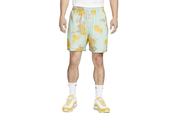 Повседневные шорты мужские, эмалевые зеленые Nike, зеленый
Повседневные шорты мужские, эмалевые зеленые Nike, зеленый