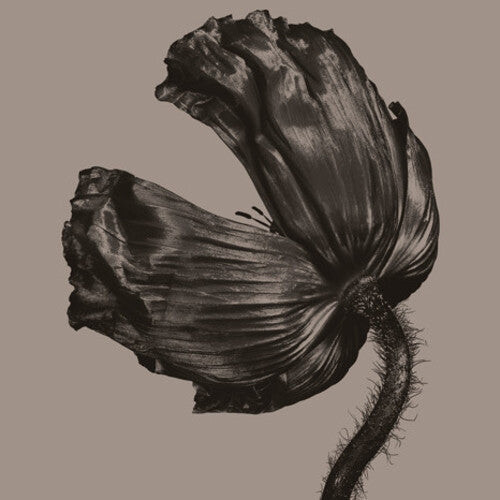 Виниловая пластинка Pet Shop Boys: Release (2017 Remastered Version)
Виниловая пластинка Pet Shop Boys: Release (2017 Remastered Version)