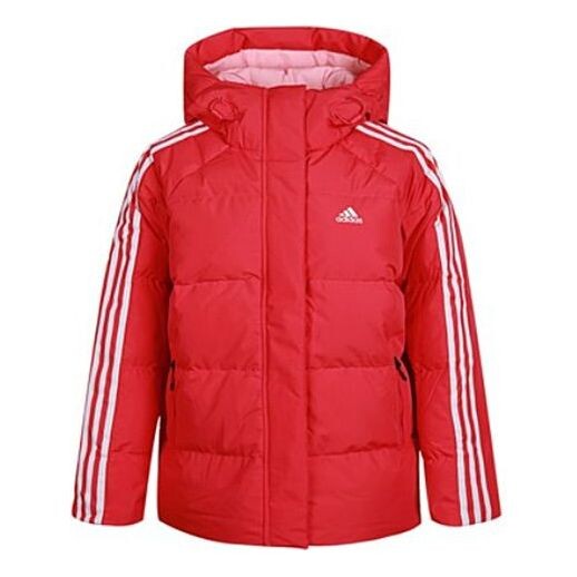 Куртка (WMNS) Adidas Puff Hooded Windproof Down Jacket Pink, розовый
Куртка (WMNS) Adidas Puff Hooded Windproof Down Jacket Pink, розовый