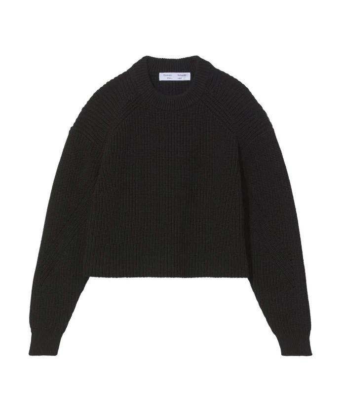 Свитер с высоким воротником в повседневном стиле Proenza Schouler, черный
Свитер с высоким воротником в повседневном стиле Proenza Schouler, черный
