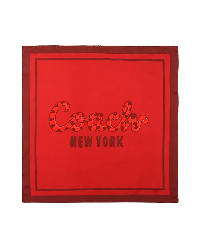 Женский шейный платок Bandana с принтом "Script Snake" COACH, красный
Женский шейный платок Bandana с принтом "Script Snake" COACH, красный