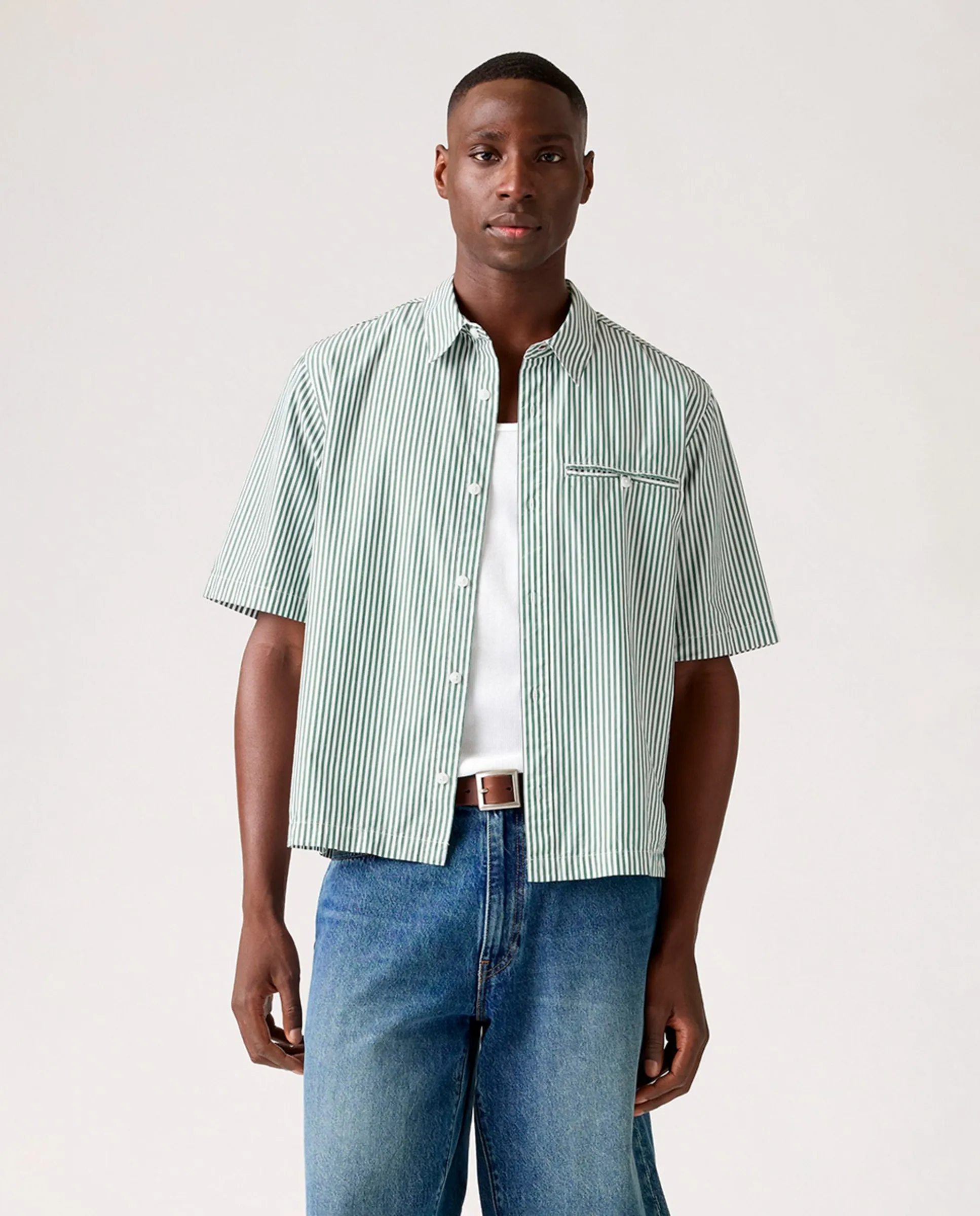 Мужская укороченная рубашка с короткими рукавами Levi'S, светло-голубой
Мужская укороченная рубашка с короткими рукавами Levi'S, светло-голубой