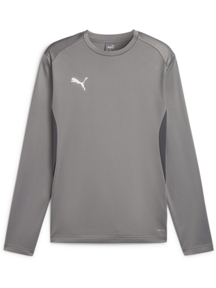 Свитер TeamGoal Training Sweat серого цвета Puma
Свитер TeamGoal Training Sweat серого цвета Puma