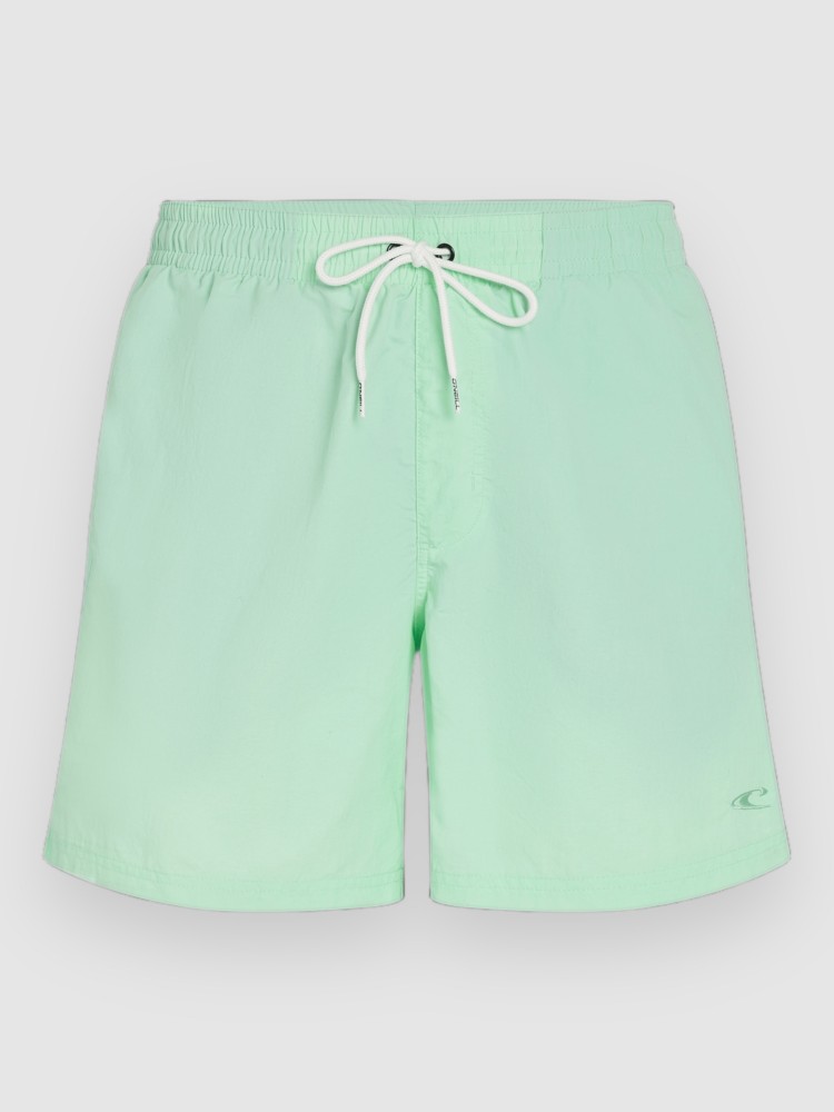 Пляжные шорты O'Neill Vert 16'' Boardshorts, mildrew mint
Пляжные шорты O'Neill Vert 16'' Boardshorts, mildrew mint
