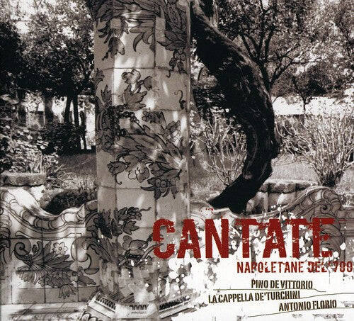 CD диск Vittorio, Pino De / Capella De'Turchini / Florio: Cantate Napoletane Del 700
CD диск Vittorio, Pino De / Capella De'Turchini / Florio: Cantate Napoletane Del 700