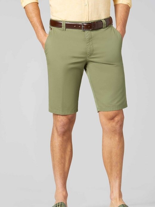 Бермудские острова пальма Meyer, зеленый
Бермудские острова пальма Meyer, зеленый