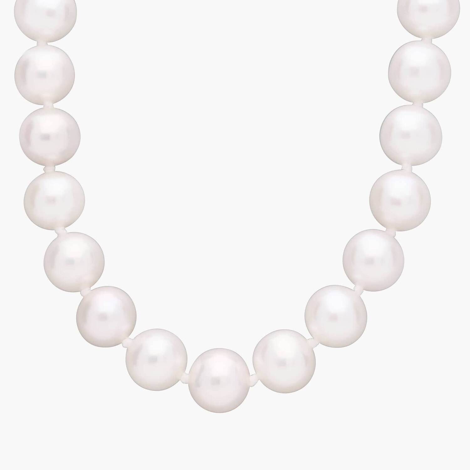 24-дюймовое ожерелье из пресноводного культивированного жемчуга из 14-каратного желтого золота (7,5-8,0 мм) Blue Nile
24-дюймовое ожерелье из пресноводного культивированного жемчуга из 14-каратного желтого золота (7,5-8,0 мм) Blue Nile