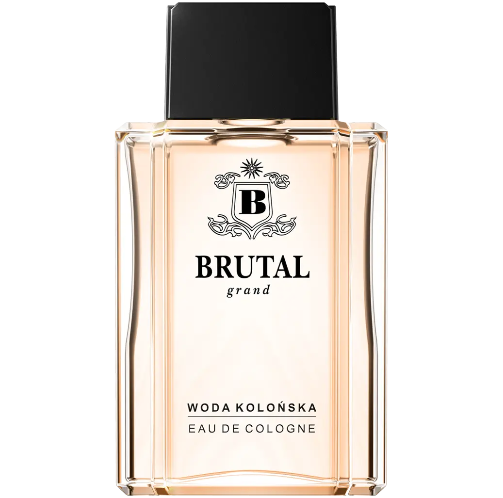 Brutal Grand мужской одеколон, 100 мл
Brutal Grand мужской одеколон, 100 мл