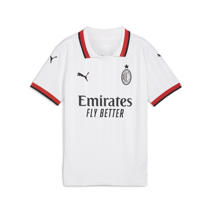 Спортивный топ PUMA Performance Shirt AC Milan 24/25, белый
Спортивный топ PUMA Performance Shirt AC Milan 24/25, белый