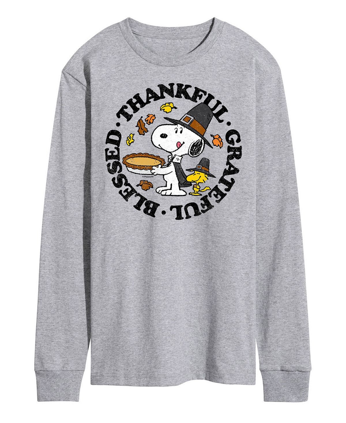 Мужская футболка с длинным рукавом peanuts thankful grateful blessed AIRWAVES, серый
Мужская футболка с длинным рукавом peanuts thankful grateful blessed AIRWAVES, серый