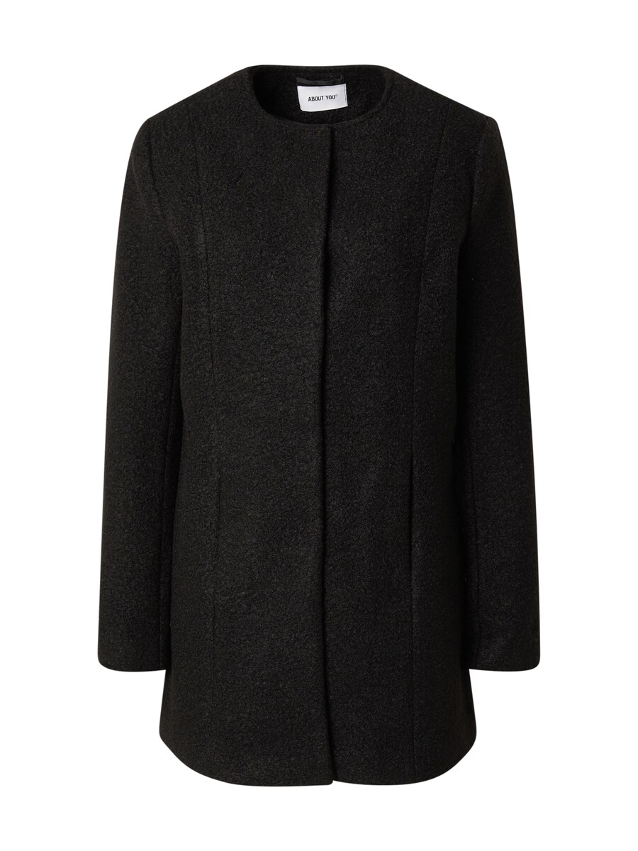Межсезонное пальто ABOUT YOU Between-Seasons Coat Daphne, черный
Межсезонное пальто ABOUT YOU Between-Seasons Coat Daphne, черный