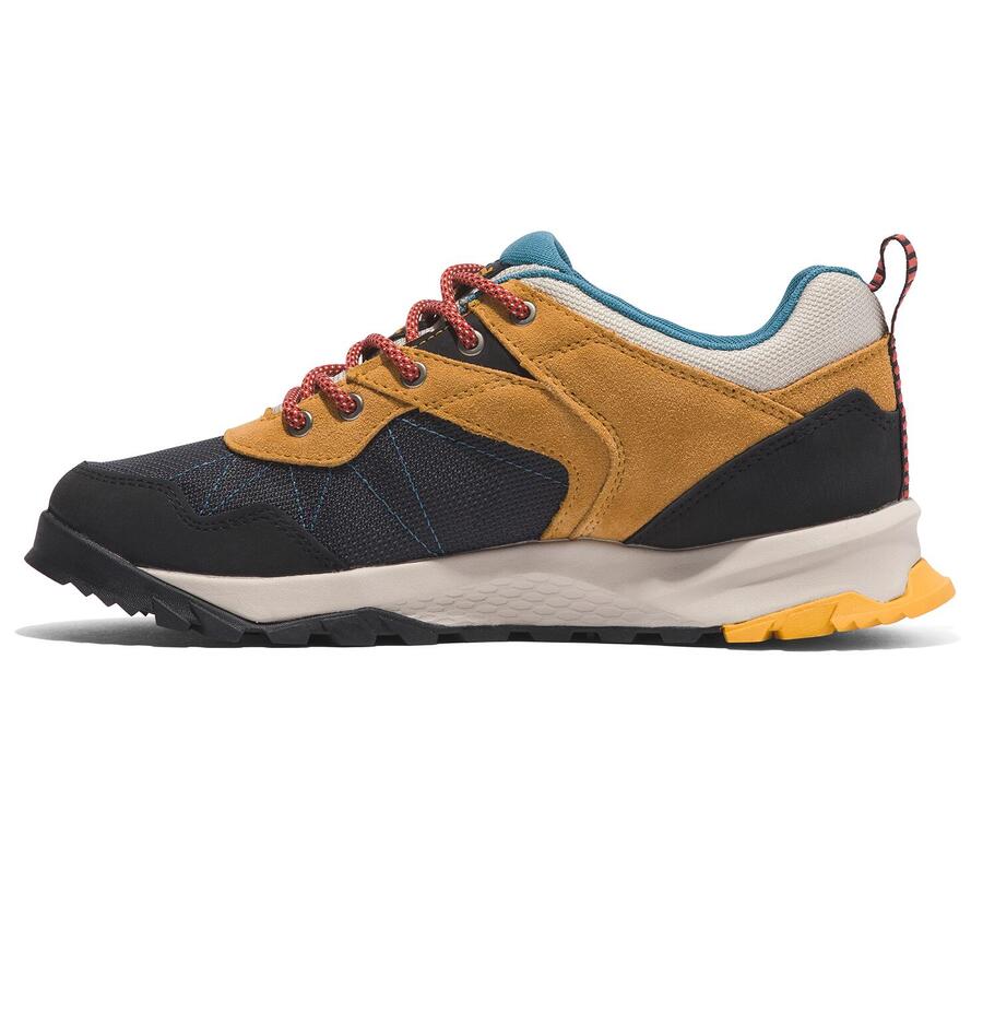 Женские треккинговые ботинки Timberland Lincoln Peak GTX с эко-дизайном
Женские треккинговые ботинки Timberland Lincoln Peak GTX с эко-дизайном