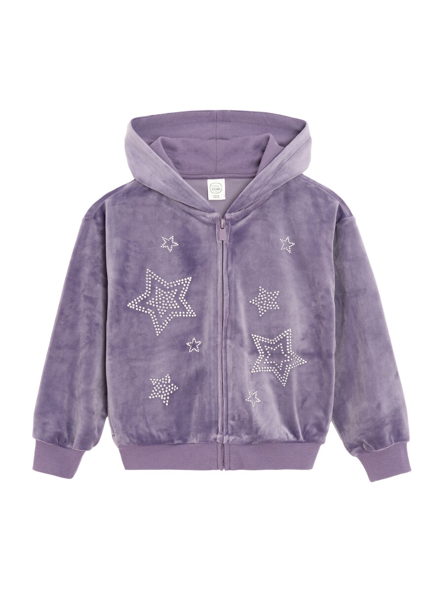 Толстовка с капюшоном на молнии Cool Club, фиолетовый
Толстовка с капюшоном на молнии Cool Club, фиолетовый