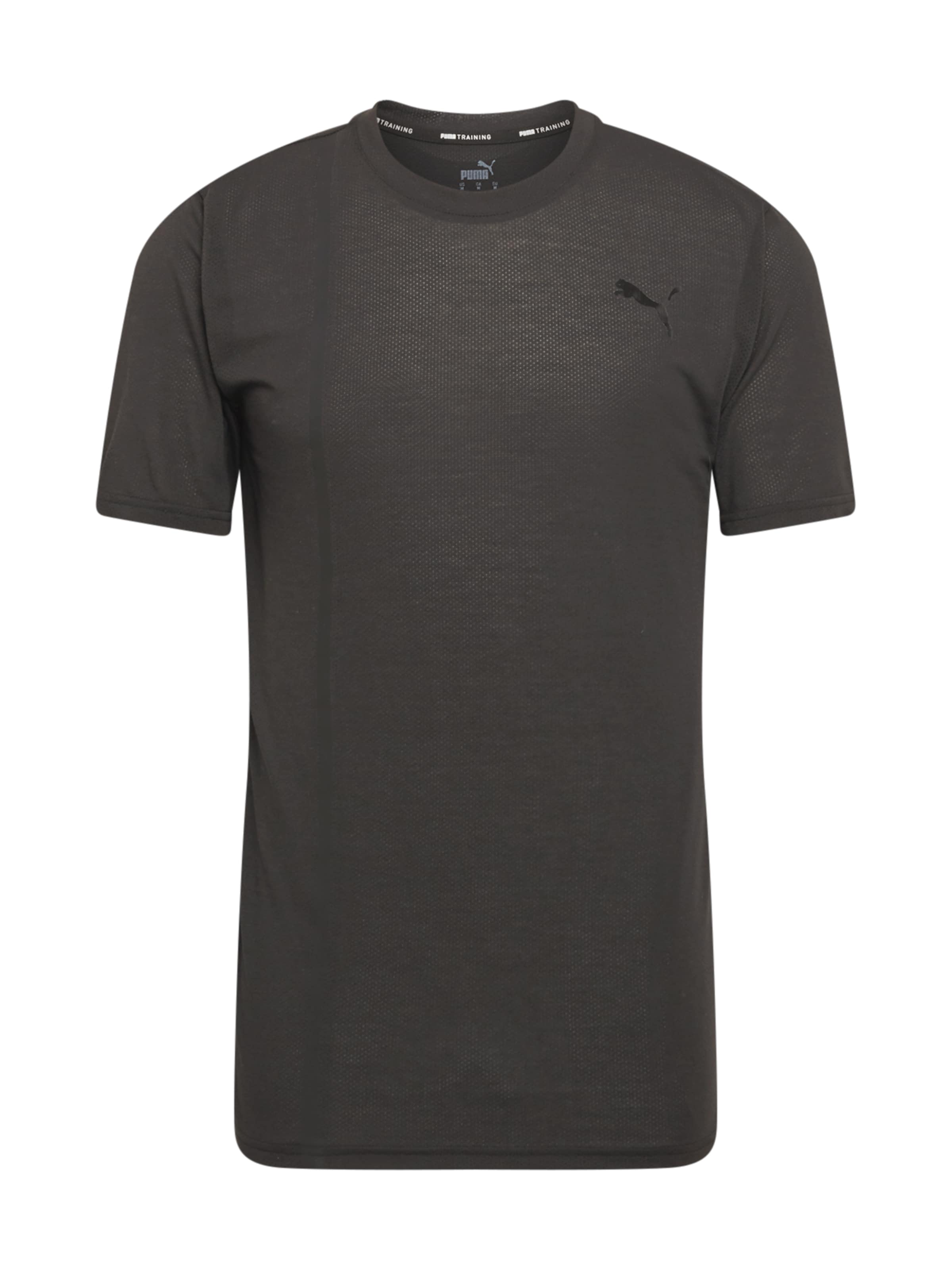 PUMA Футболка Performance в черном цвете
PUMA Футболка Performance в черном цвете