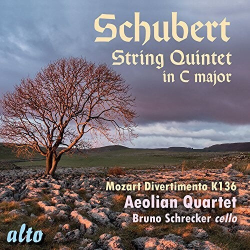 CD диск Schubert / Mozart / Aeolian Quartet / Schrecker: String Quintet in C Major / Divertimento in D
CD диск Schubert / Mozart / Aeolian Quartet / Schrecker: String Quintet in C Major / Divertimento in D