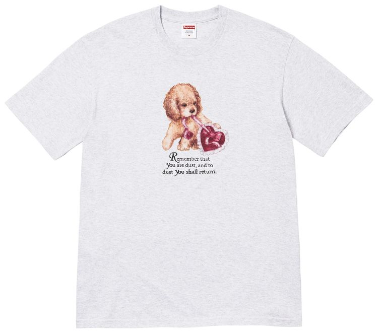 Футболка Supreme Dust Tee, серый
Футболка Supreme Dust Tee, серый