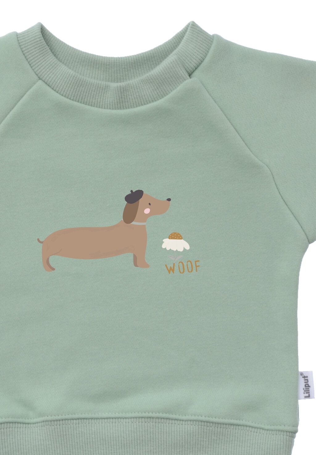 Толстовка DACKEL Liliput, зеленый
Толстовка DACKEL Liliput, зеленый