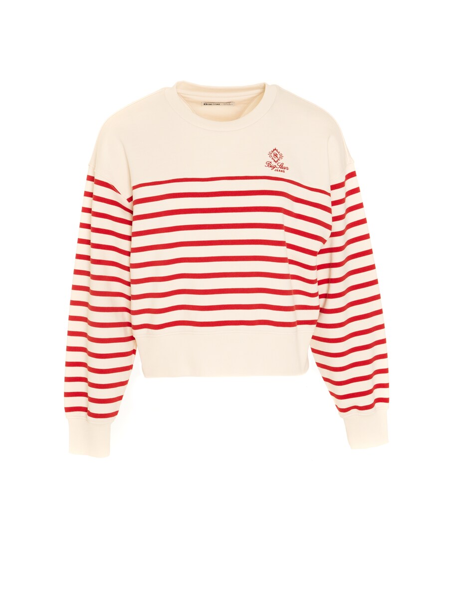 Свитер BIG STAR Sweatshirt Rosa, белый
Свитер BIG STAR Sweatshirt Rosa, белый