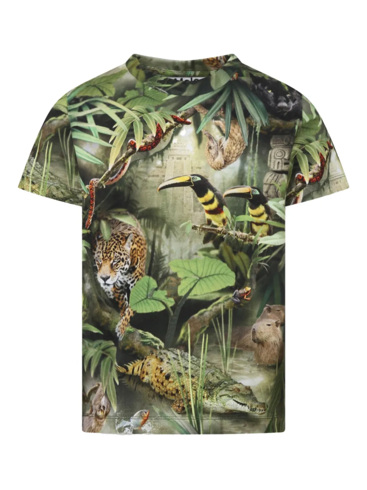 Футболка с принтом Molo по всей поверхности, зеленый
Футболка с принтом Molo по всей поверхности, зеленый