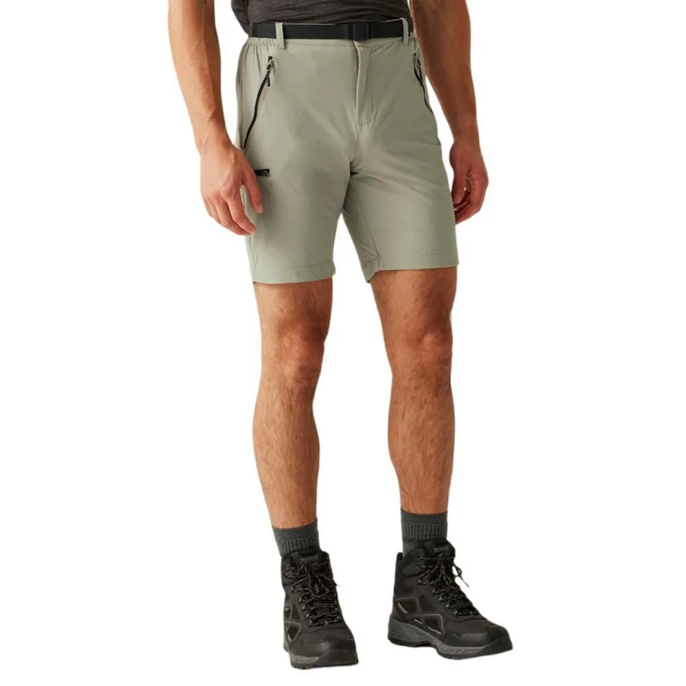 Шорты Regatta Xert Stretch III, зеленый
Шорты Regatta Xert Stretch III, зеленый
