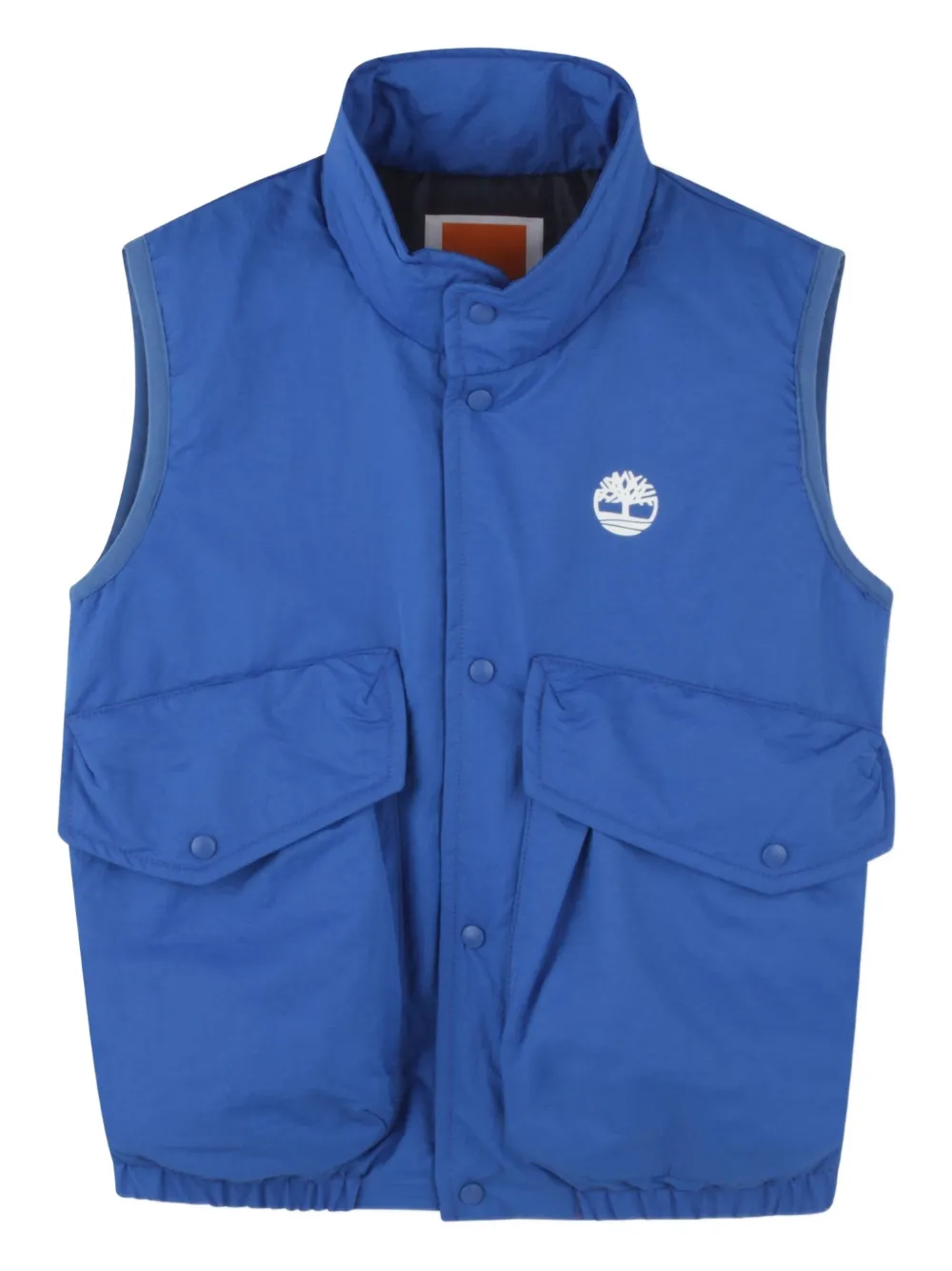 Жилет с логотипом Timberland Kids, синий
Жилет с логотипом Timberland Kids, синий