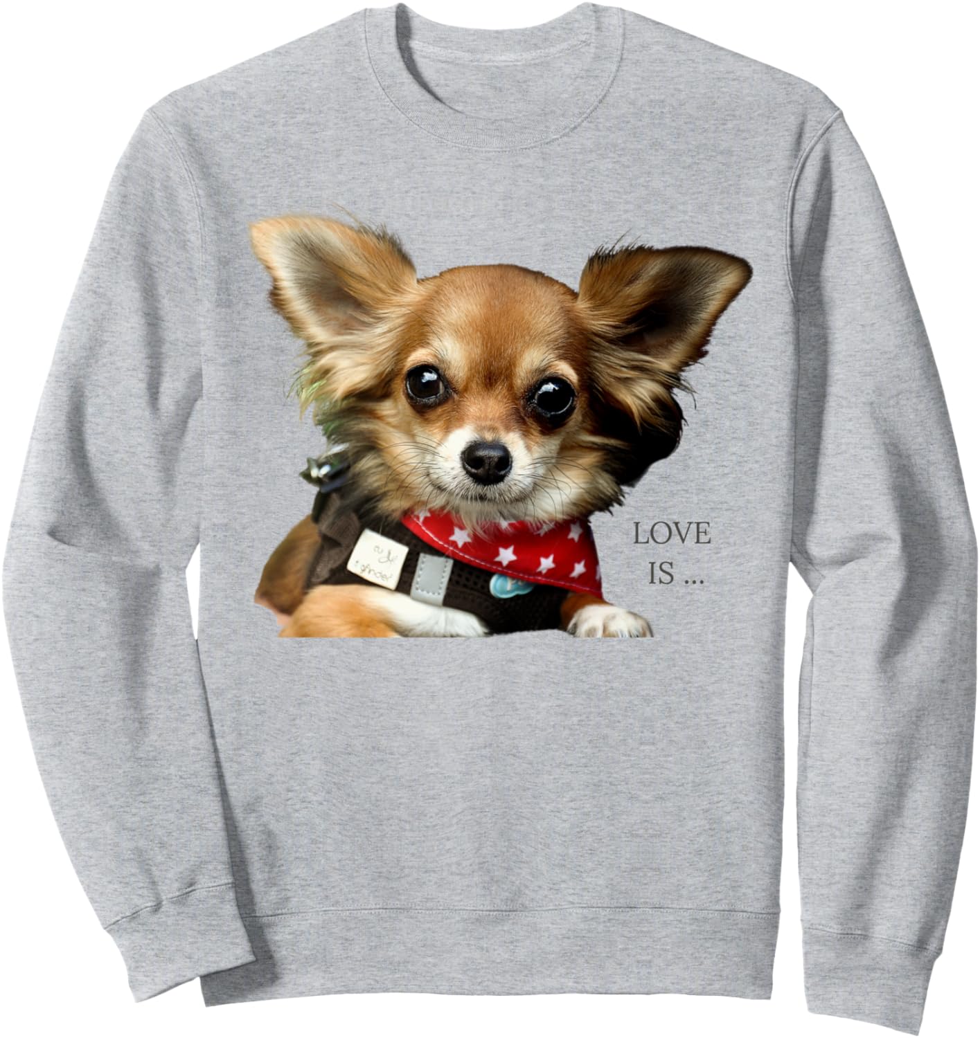 Футболка с изображением чихуахуа, для мамы и папы, для любителей чая и щенков, серая Chihuahua Shirts And Gifts
Футболка с изображением чихуахуа, для мамы и папы, для любителей чая и щенков, серая Chihuahua Shirts And Gifts