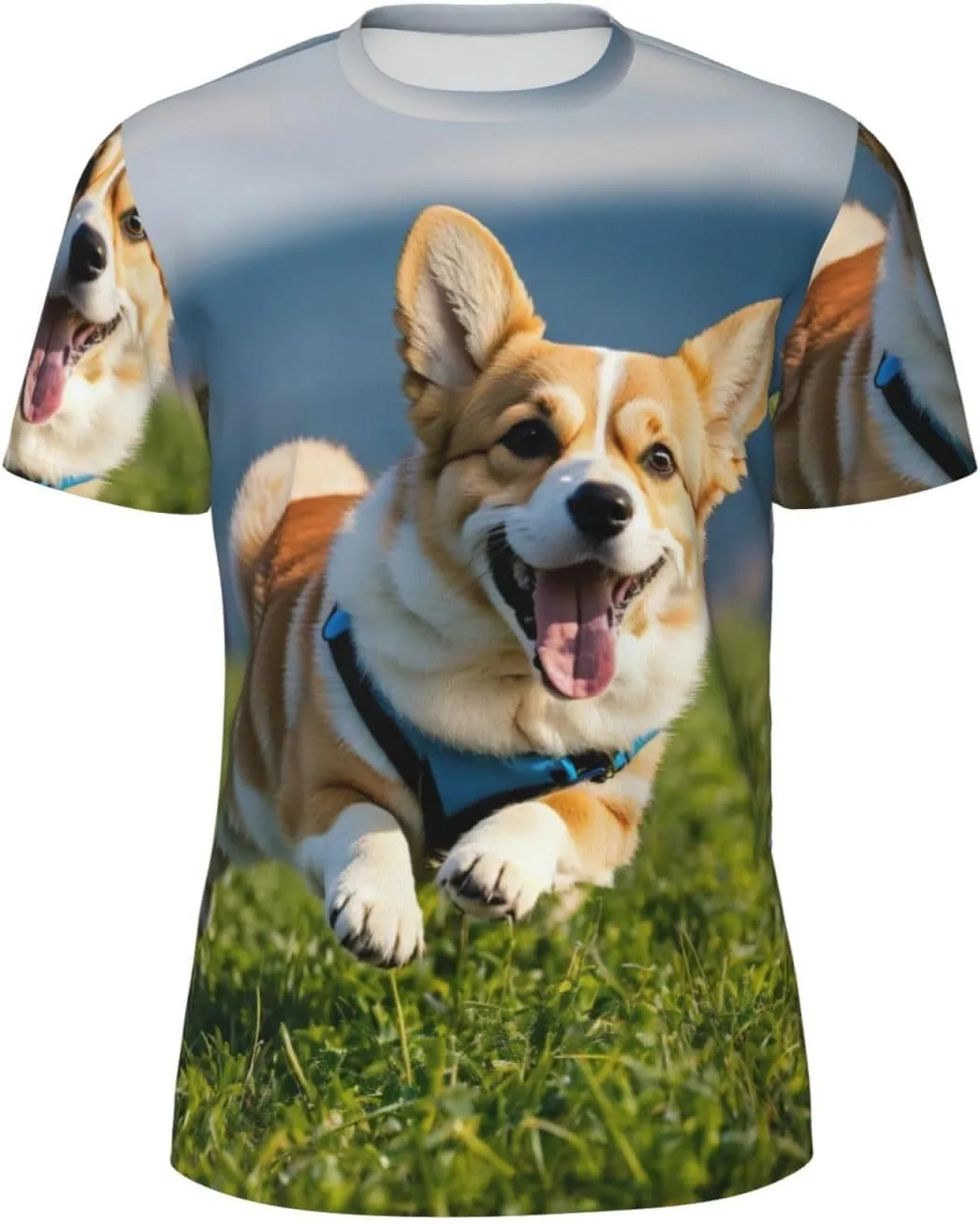 Футболка с принтом Corgi для спорта и повседневной носки LIXLZH
Футболка с принтом Corgi для спорта и повседневной носки LIXLZH