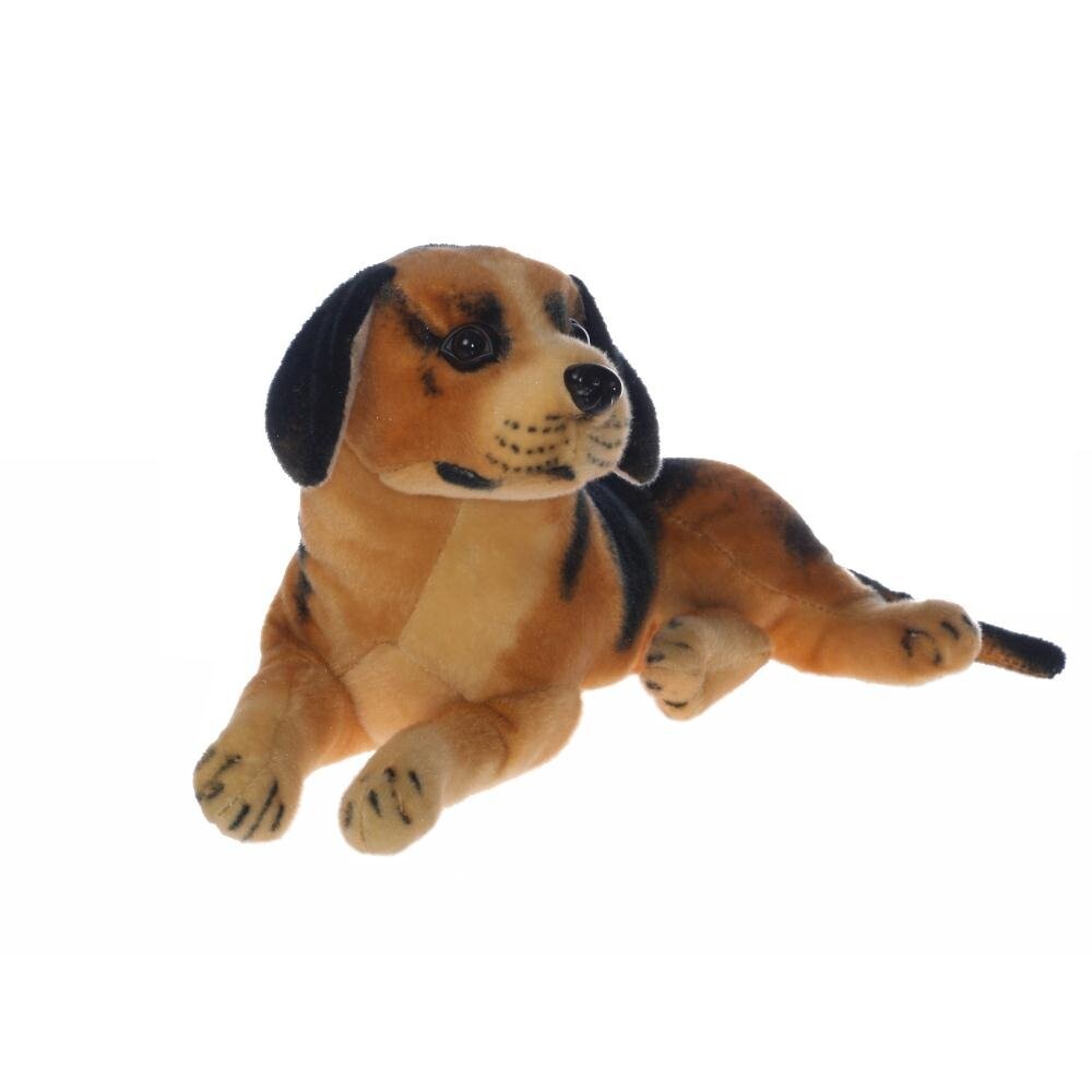 Чистокровные собаки Inna marka
Чистокровные собаки Inna marka