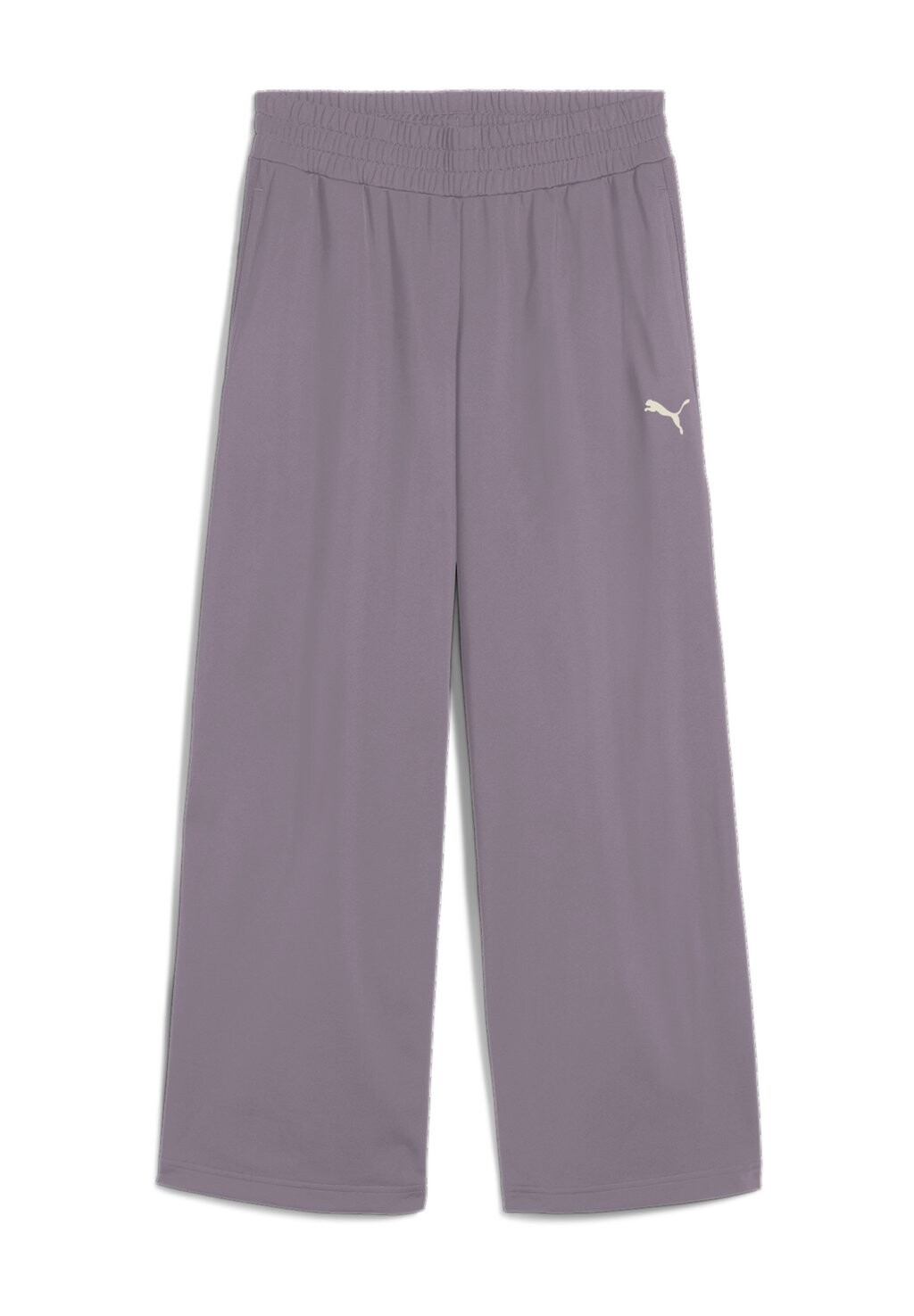 Спортивные штаны CLASSICS POPPER Puma, фиолетовый
Спортивные штаны CLASSICS POPPER Puma, фиолетовый