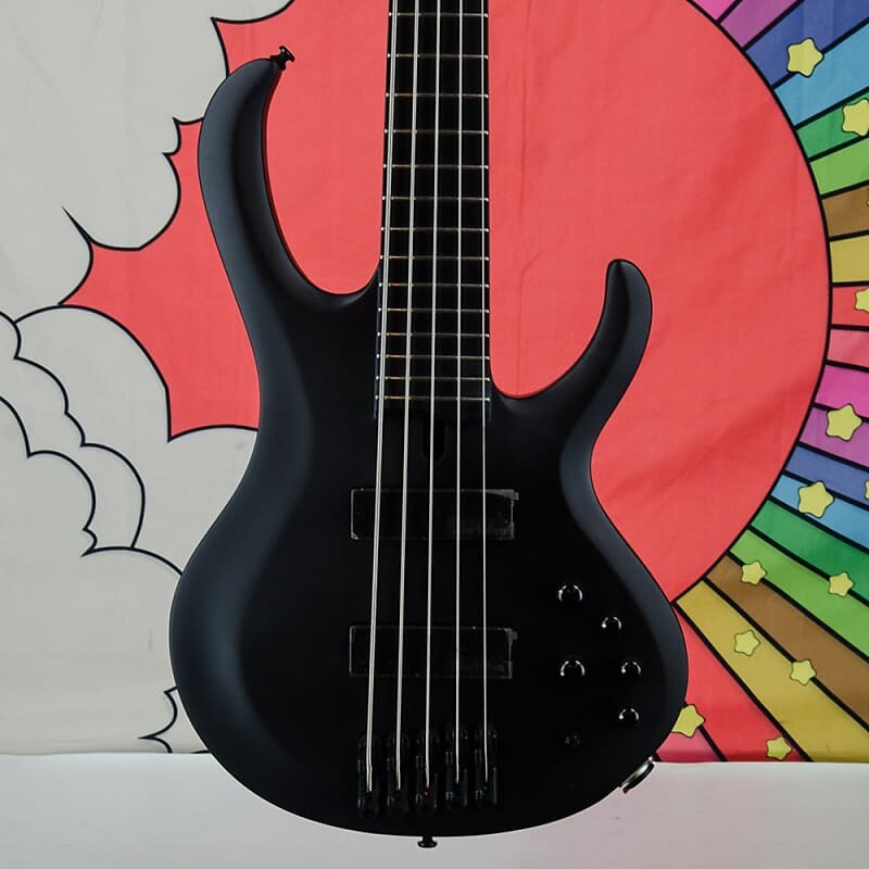 Басс гитара Ibanez Iron Label BTB625EX Bass Guitar, Flat Black
Басс гитара Ibanez Iron Label BTB625EX Bass Guitar, Flat Black