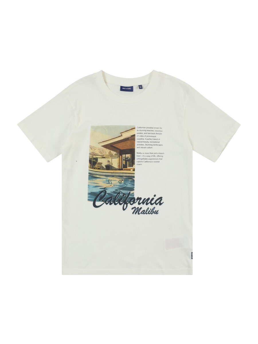 Рубашка Only & Sons Junior OSJSANUEL, белый
Рубашка Only & Sons Junior OSJSANUEL, белый