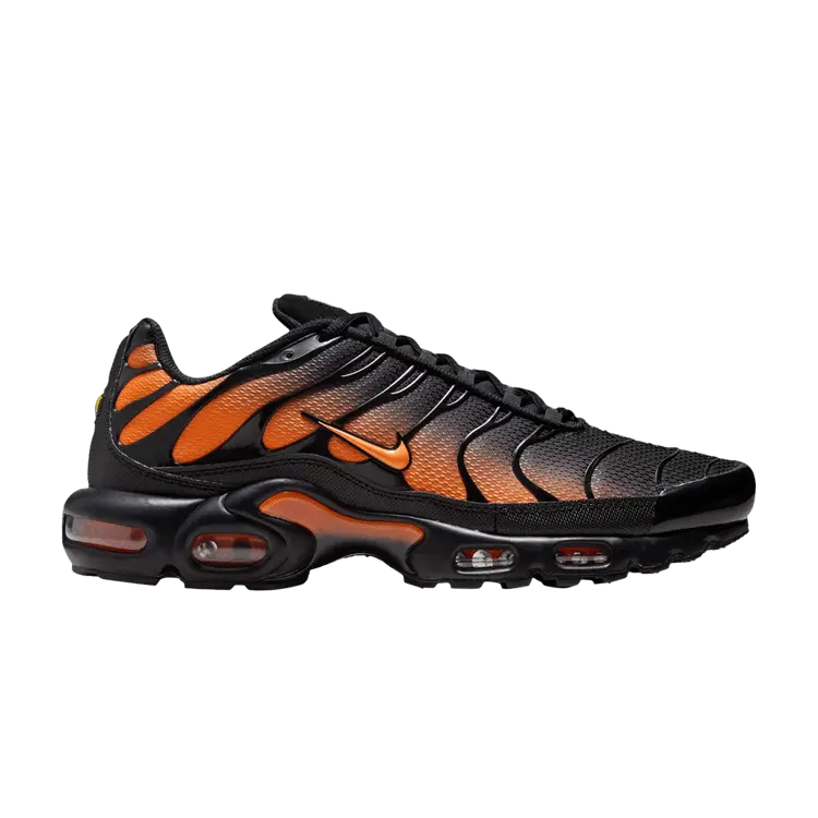 Кроссовки Nike Air Max Plus 'Black Total Orange', черный
Кроссовки Nike Air Max Plus 'Black Total Orange', черный