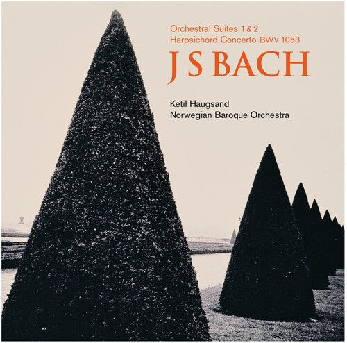 CD диск Bach / Haugsand / Norwegian Baroque Orchestra: Norwegian Baroque Orchestra Plays Bach
CD диск Bach / Haugsand / Norwegian Baroque Orchestra: Norwegian Baroque Orchestra Plays Bach