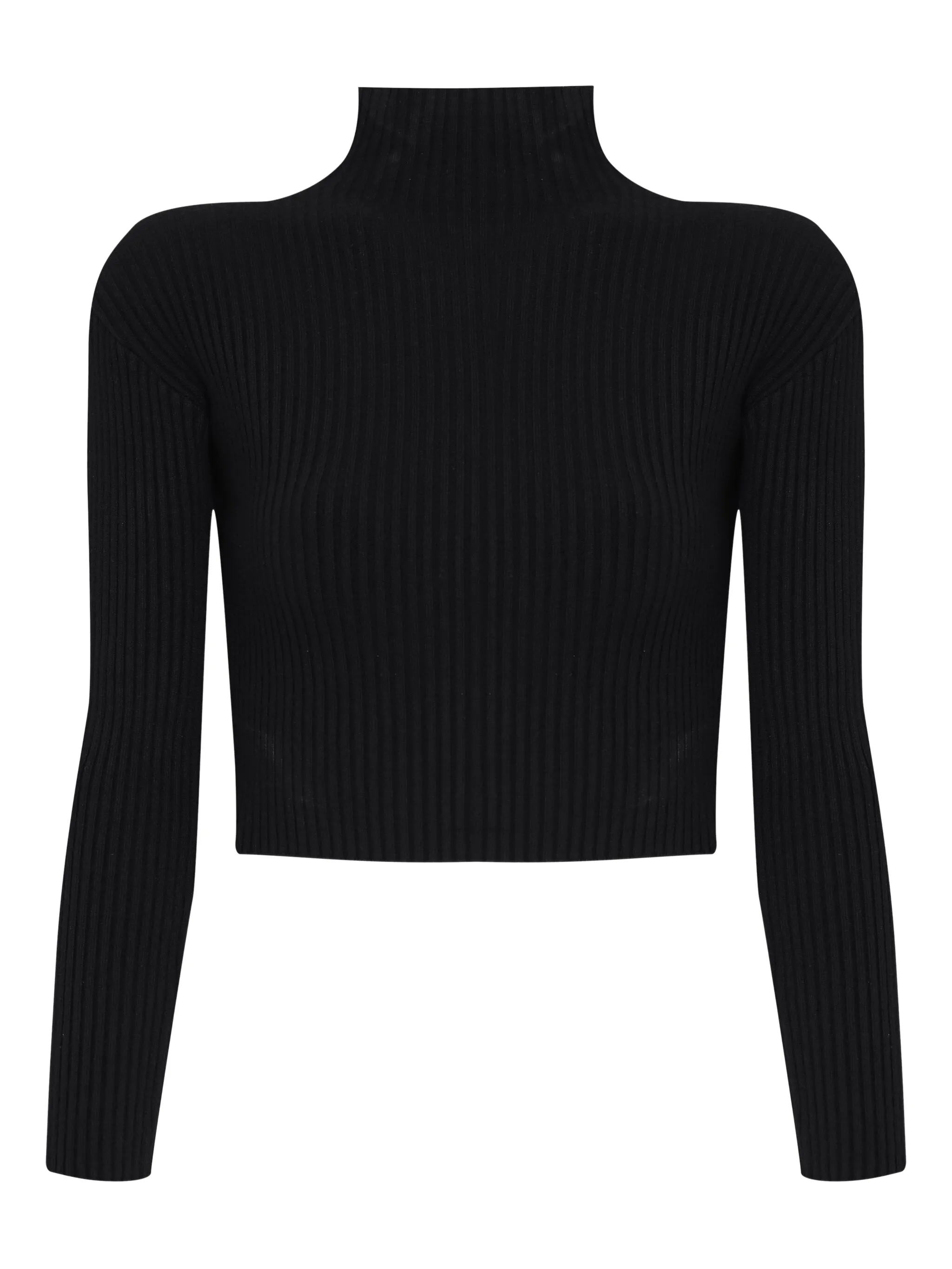 Топ в рубчик с высоким воротником Gloria Coelho, черный
Топ в рубчик с высоким воротником Gloria Coelho, черный