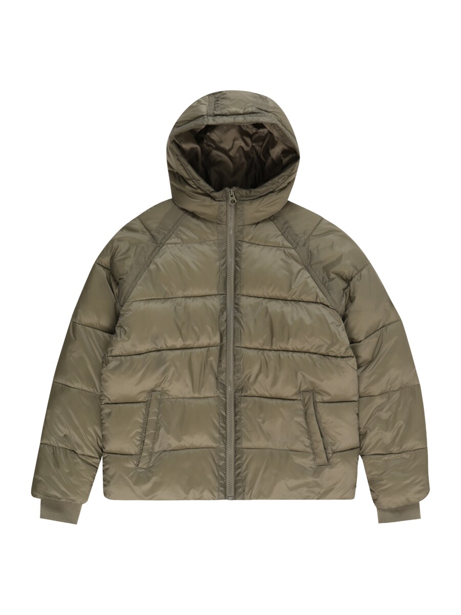 Наружная куртка DC Shoes, темно-зеленый
Наружная куртка DC Shoes, темно-зеленый