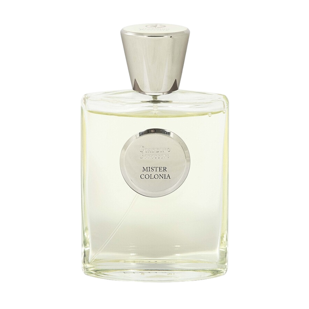Парфюмерная вода Giardino Benessere Mister Colonia
Парфюмерная вода Giardino Benessere Mister Colonia
