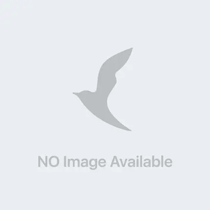 Гель для душа Уход Апельсин 650 мл Nivea
Гель для душа Уход Апельсин 650 мл Nivea