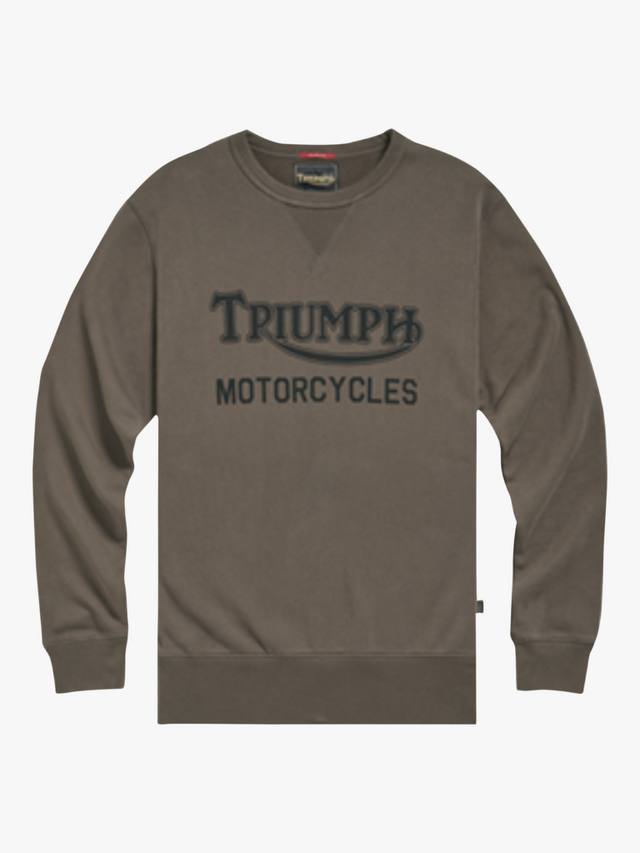 Толстовка из хлопковой саржи с радиальным логотипом Triumph Motorcycles, цвет Mushroom
Толстовка из хлопковой саржи с радиальным логотипом Triumph Motorcycles, цвет Mushroom