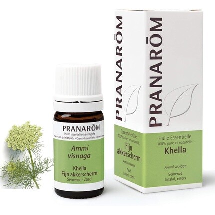 Эфирное масло Pranarôm Khella 5 мл
Эфирное масло Pranarôm Khella 5 мл