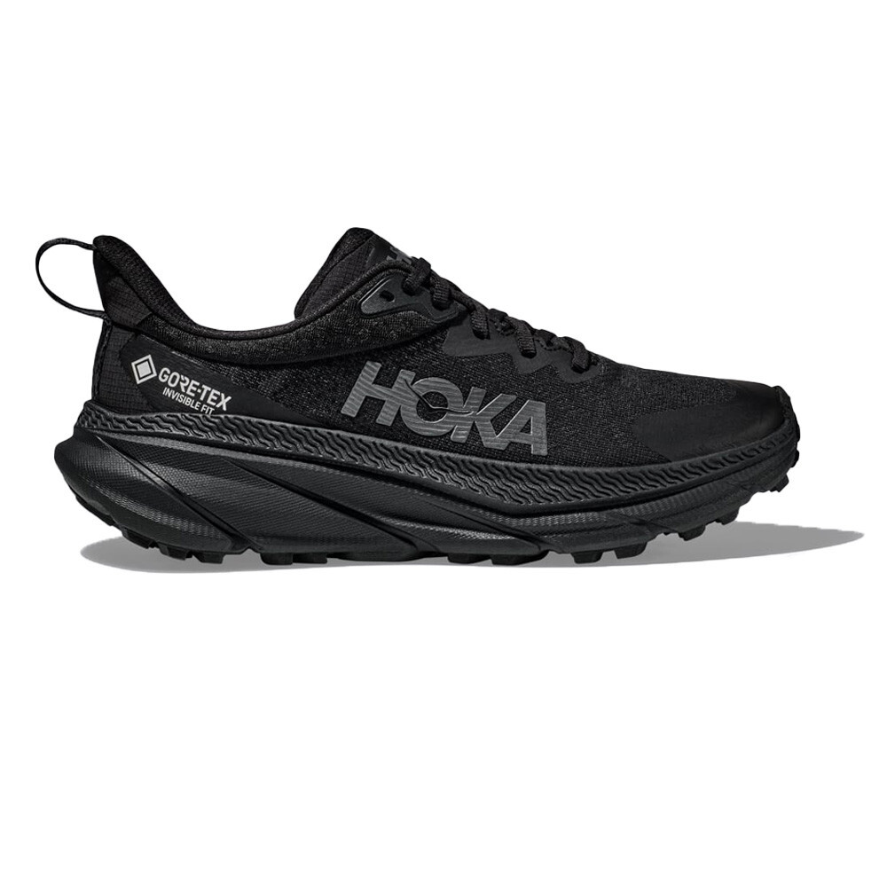 Кроссовки для бега Hoka One One Challenger 7 GORE-TEX Trail, черный
Кроссовки для бега Hoka One One Challenger 7 GORE-TEX Trail, черный