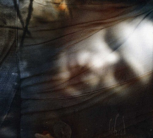 CD диск Din Brad: Dor
CD диск Din Brad: Dor