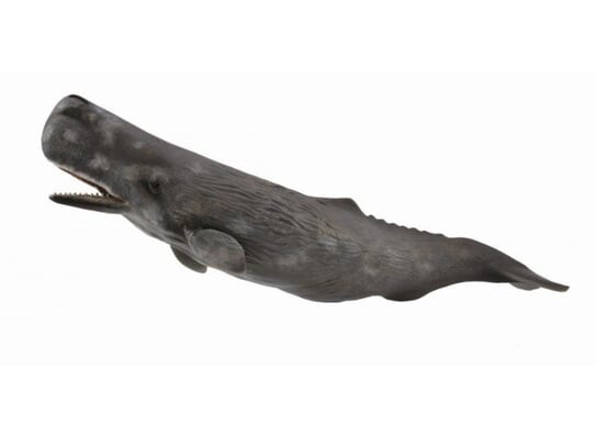 Collecta, Коллекционная статуэтка, Кашалот
Collecta, Коллекционная статуэтка, Кашалот